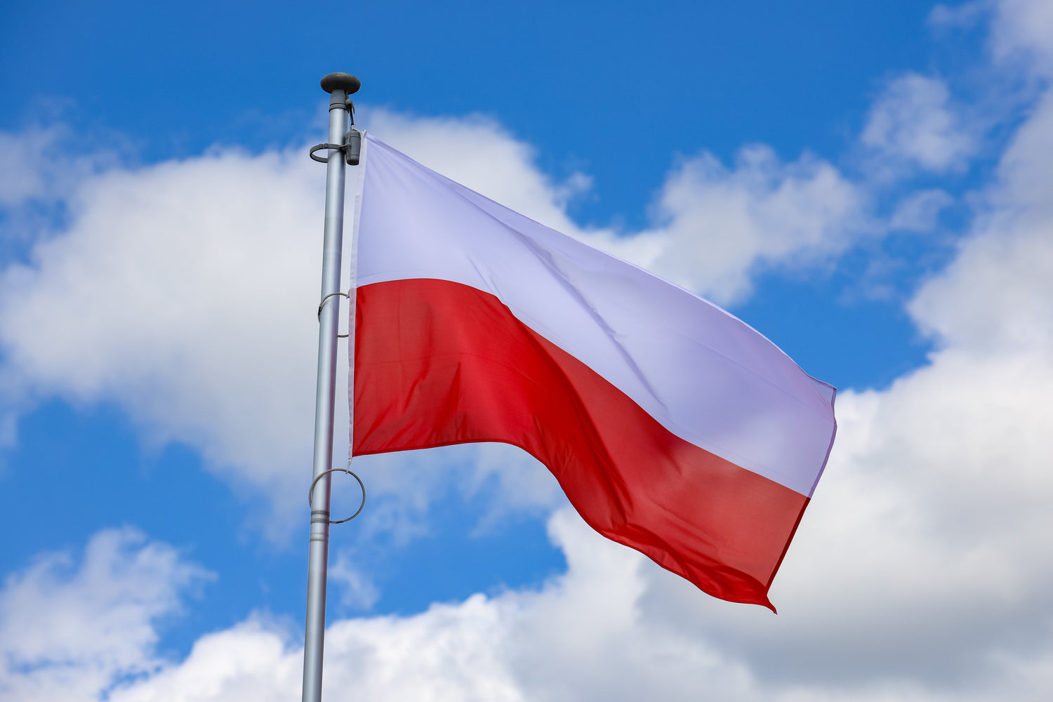 Poland - SEASONAL